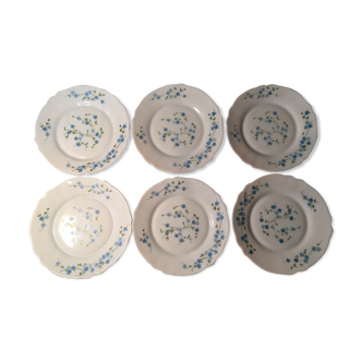 Set of 6 dessert plates arcopal Myosotis Veronica