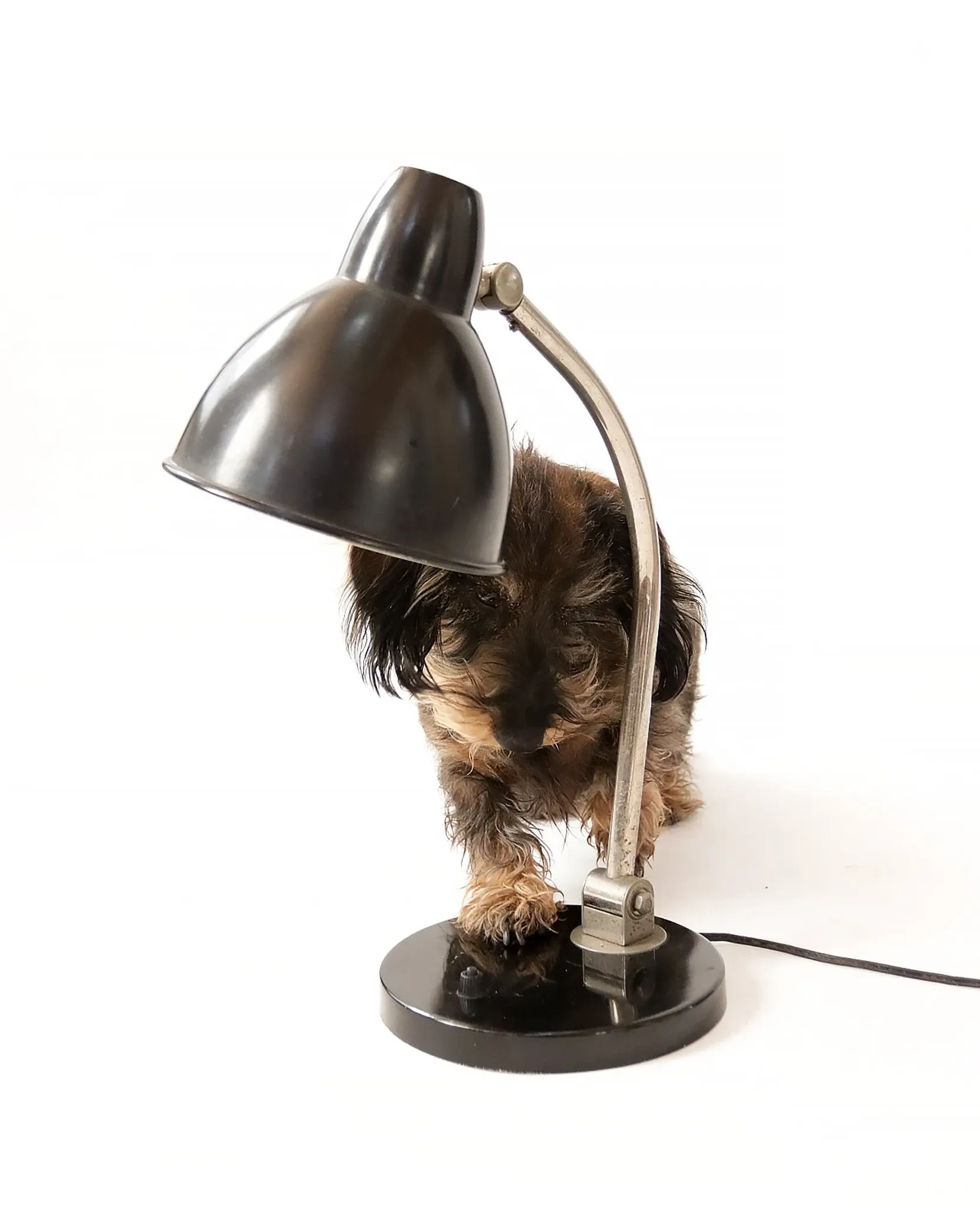 Vintage black desk lamp in Bauhaus style