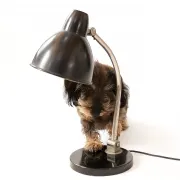 Vintage black desk lamp in Bauhaus style