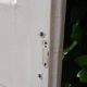 Porte h220x42cm étroite de placard ancienne panneautée moulurée