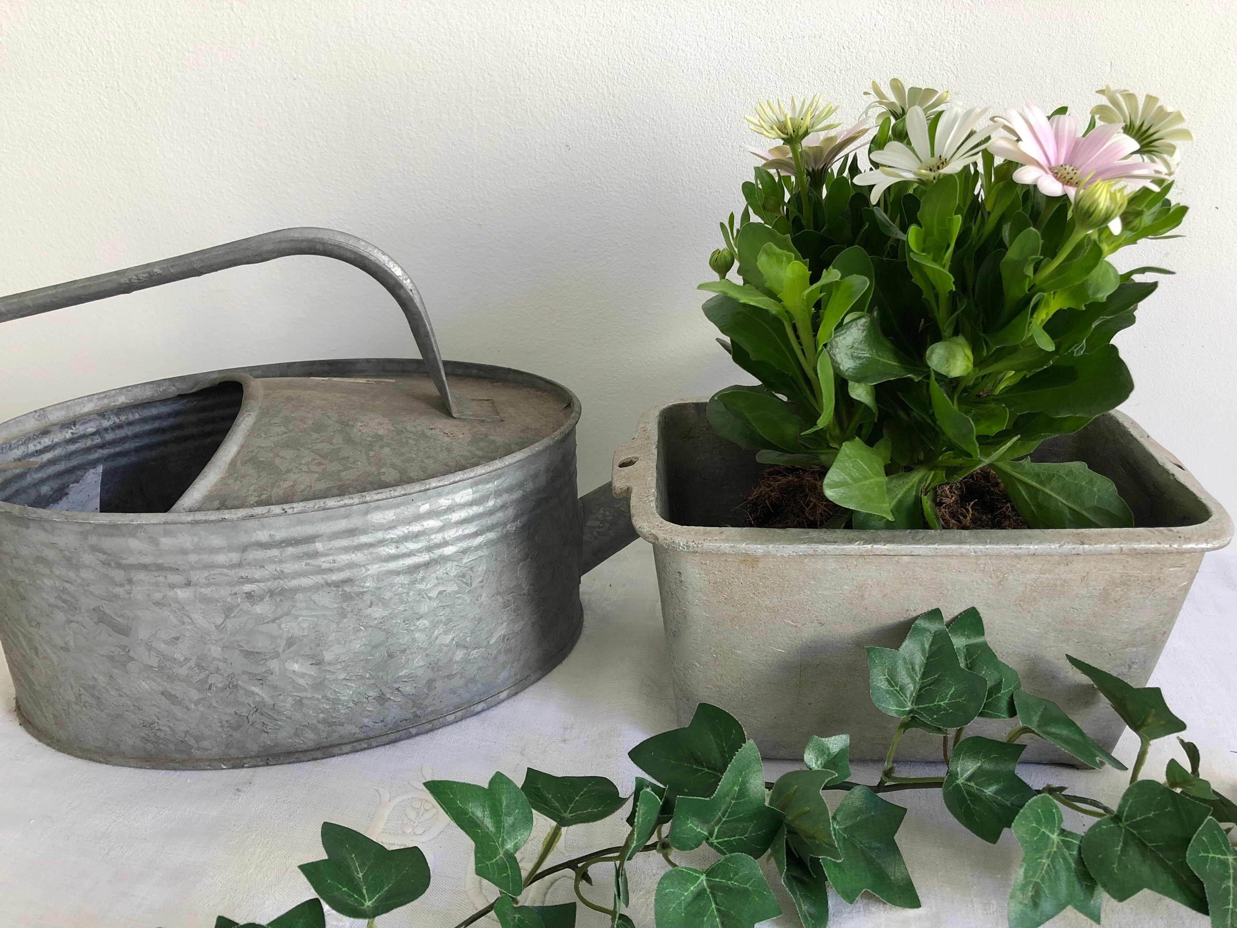 Planter for summer plantings