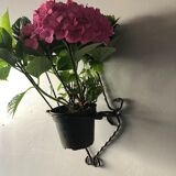 Wrought iron wall plant holder