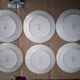 Burgenland Villeroy and bosh flat plates