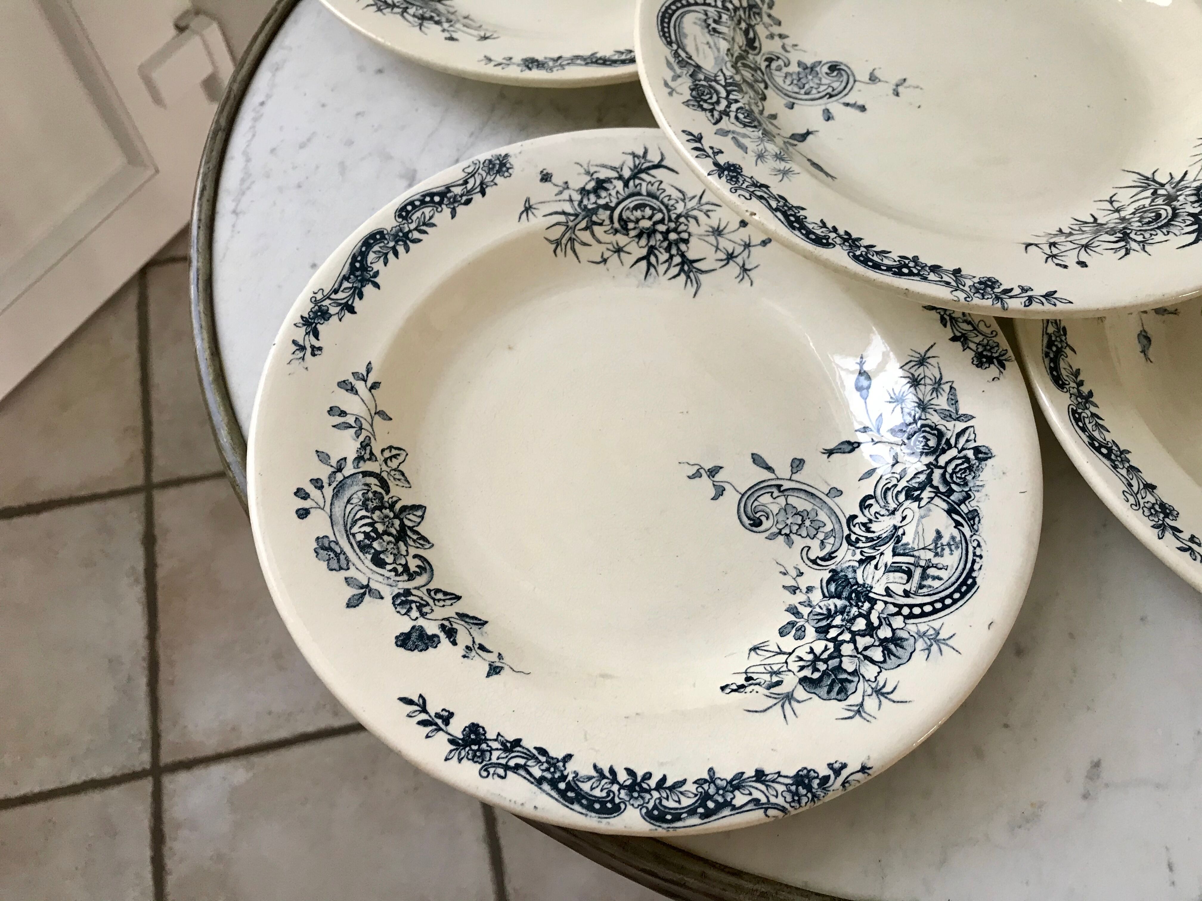 Set of 5 hollow plates Terre de Fer Salins model "Rocaille"