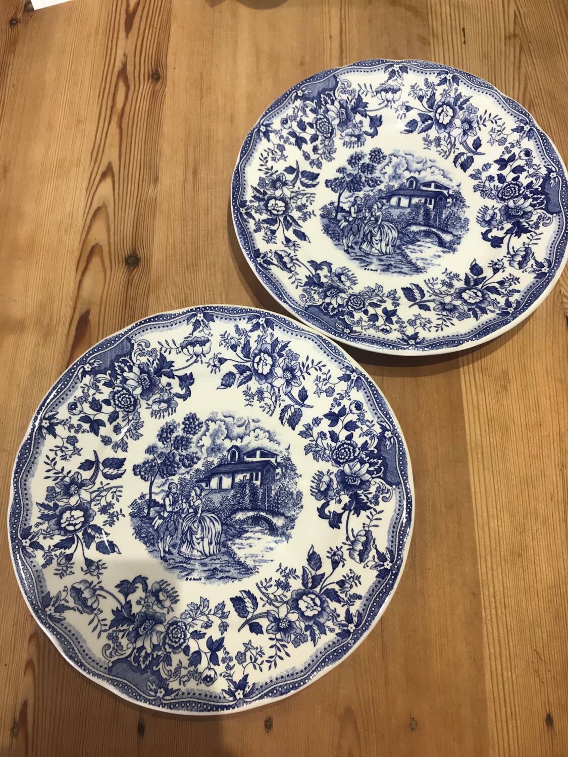 Set of 2 landscape and blue flower plates Promogros