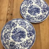 Set of 2 landscape and blue flower plates Promogros