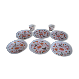 Lot of plates and glasses in vintage melamine VOLUFORM