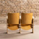 Pair of cinema folding seats
