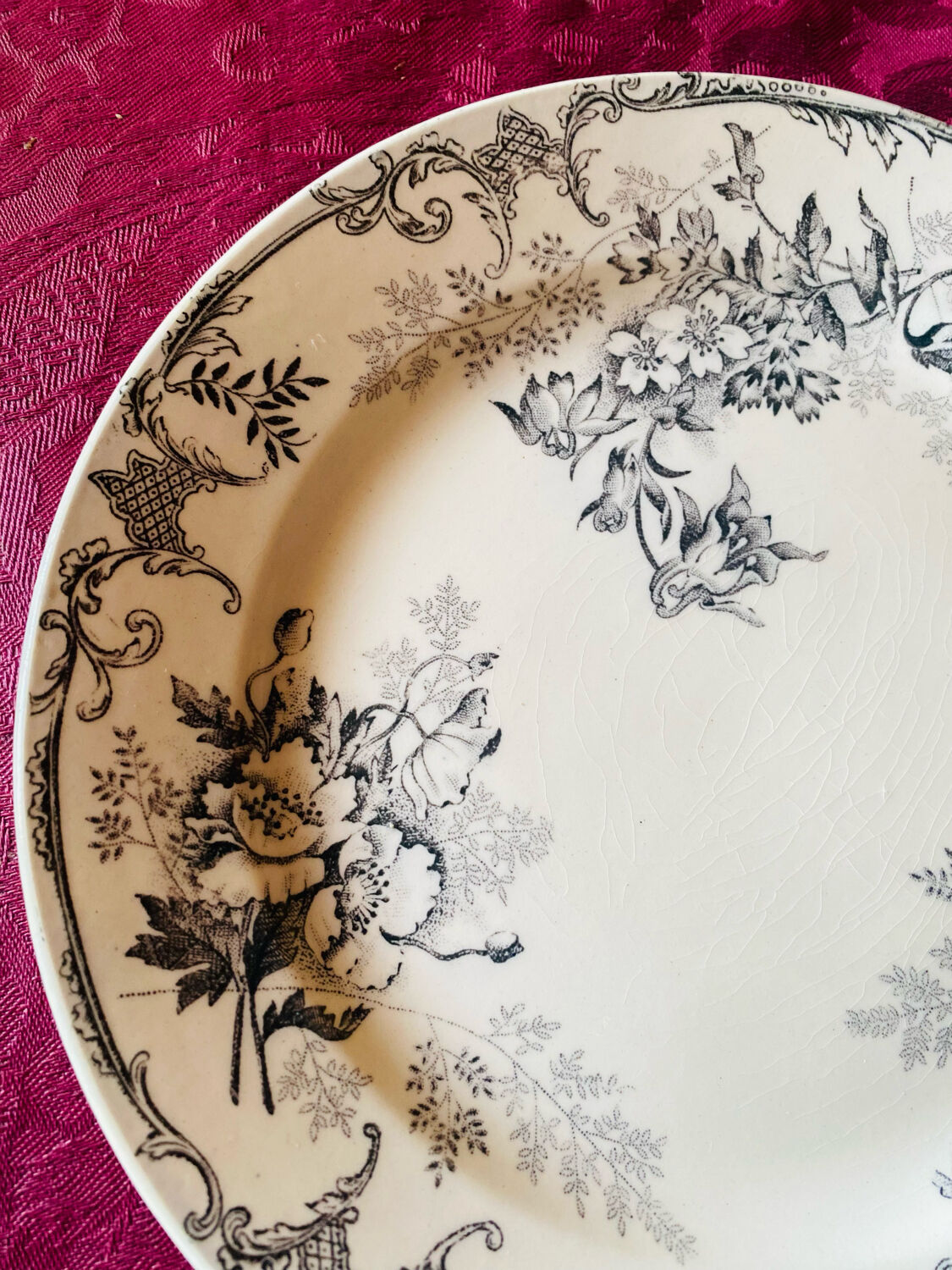 Service of 6 plates Terre de Fer