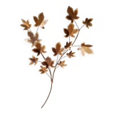 Large Brutalist brass wall light with maple branch, 1970s