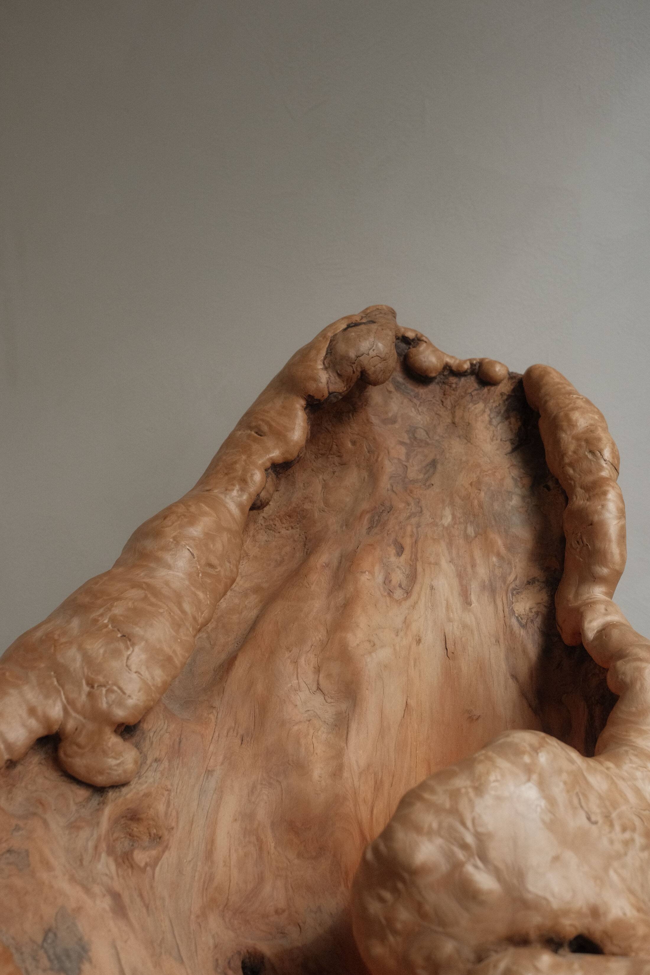 Sculptural lamp in burl wood