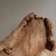 Sculptural lamp in burl wood