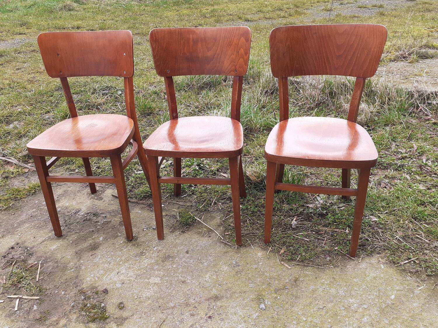 Antique chairs