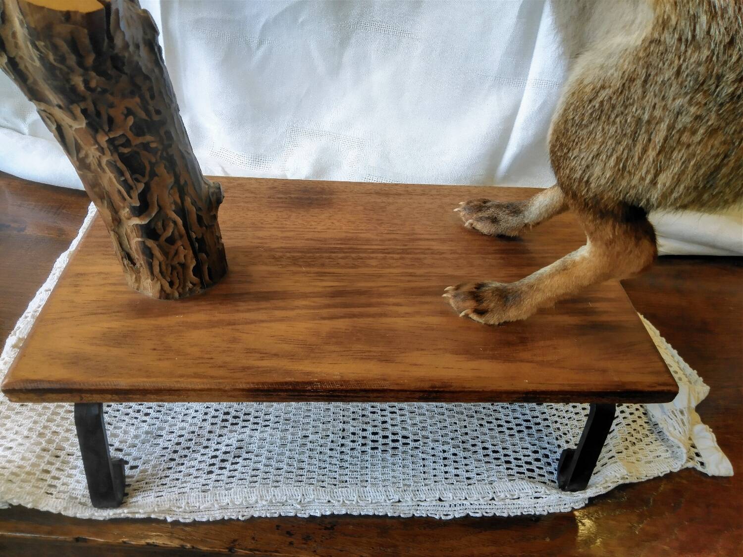 Stuffed fox taxidermy