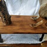 Stuffed fox taxidermy