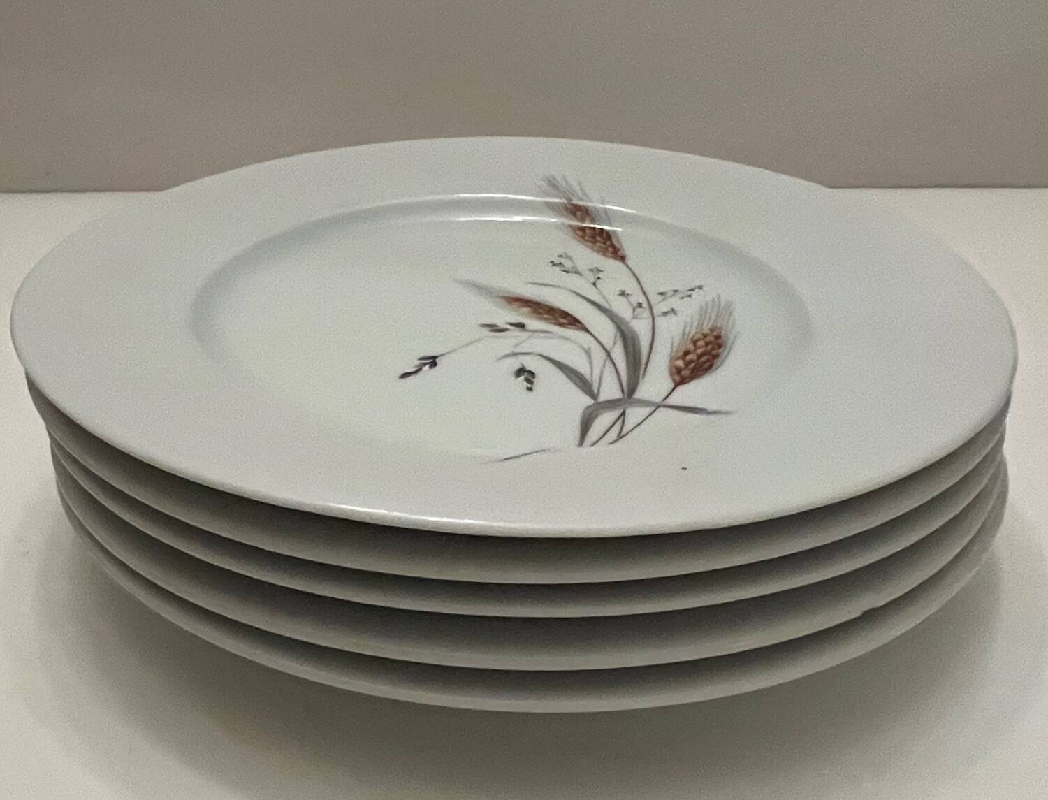 5 assiettes à dessert en porcelaine