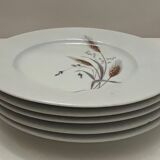 5 porcelain dessert plates