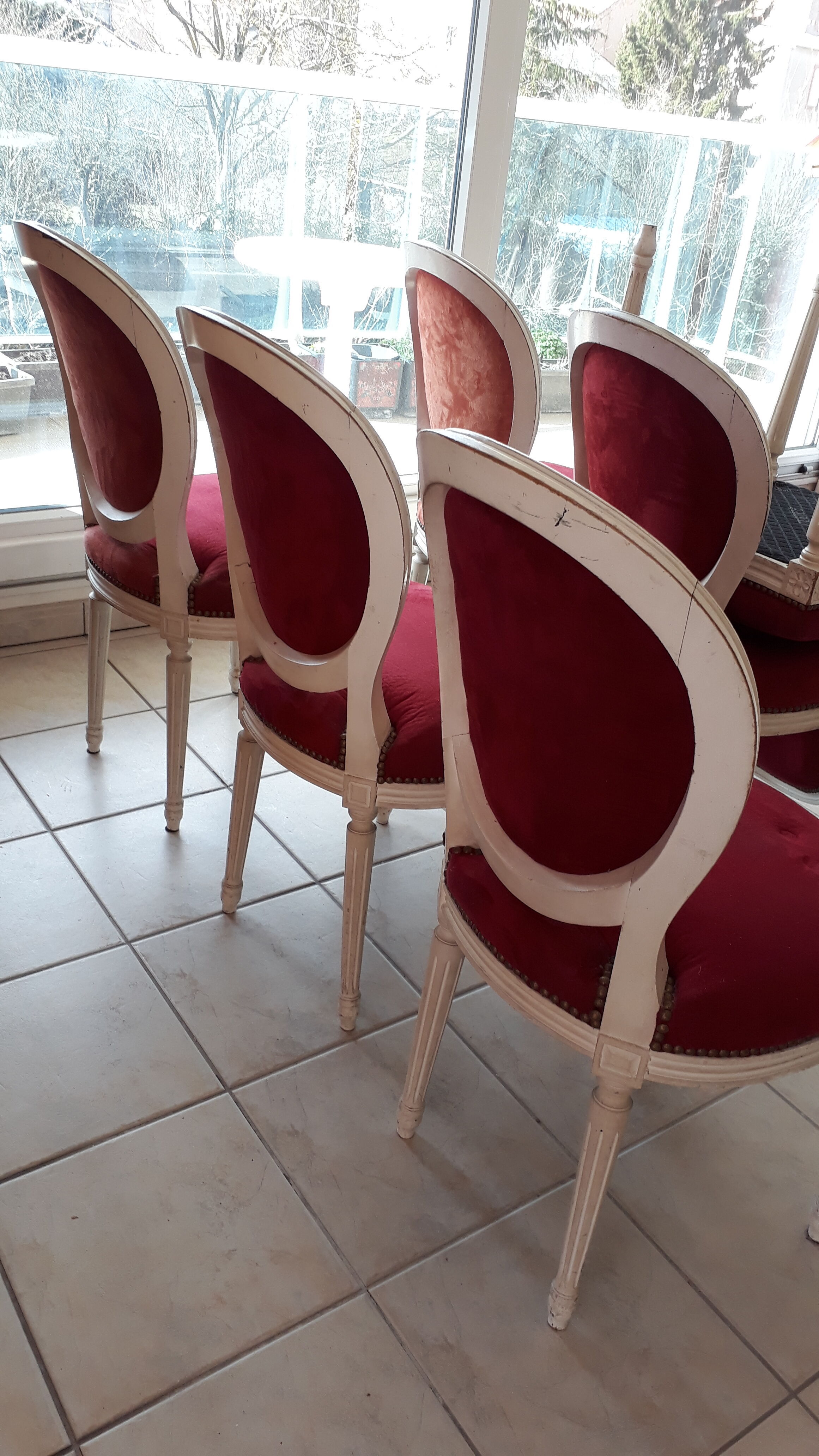 6 Louis XVI chairs