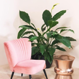 Fauteuil vintage allemand