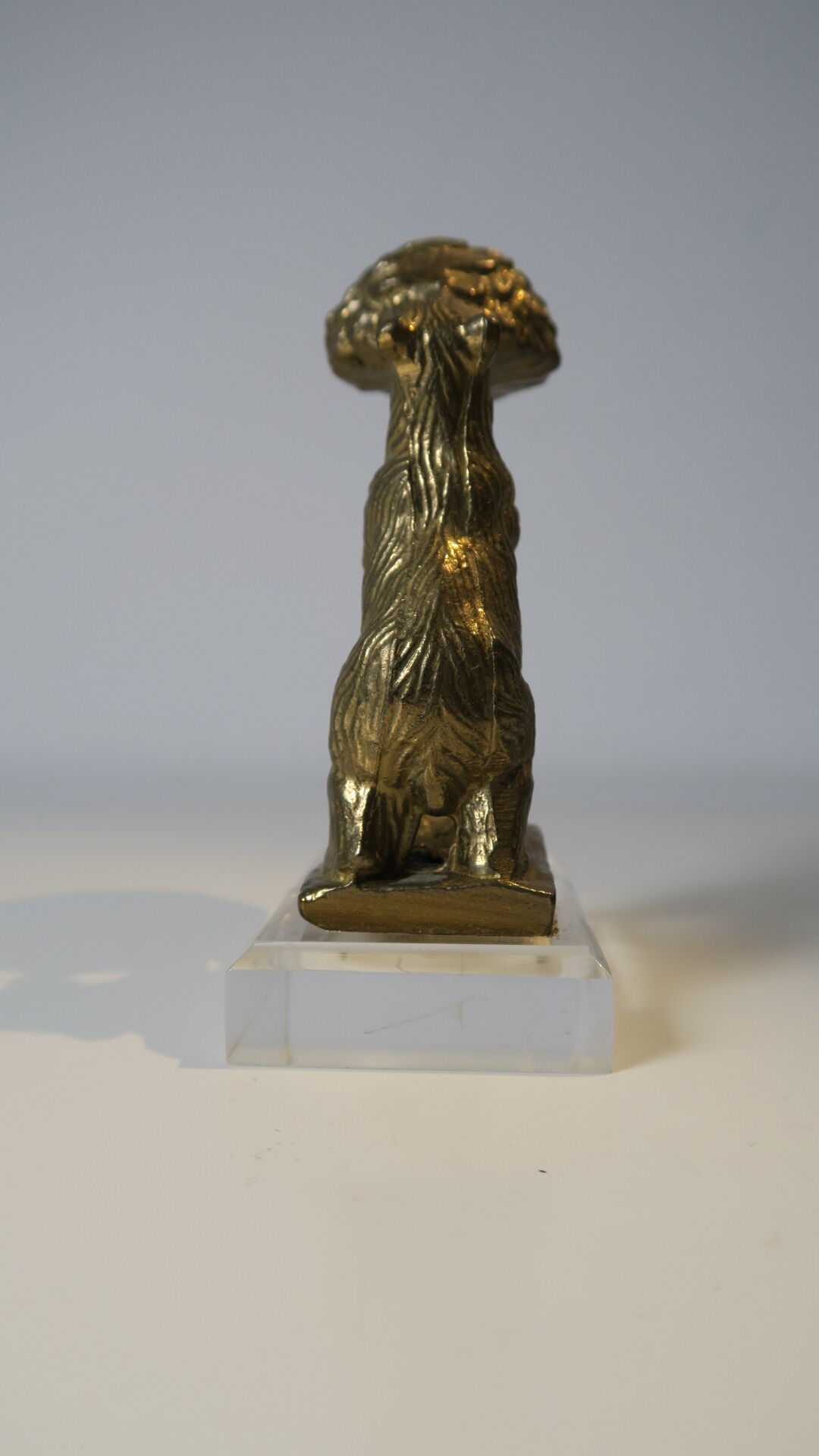 Brass sculpture, bear looking for honey in the tree