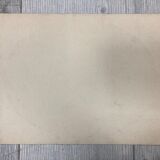 Watercolor with vintage carnations