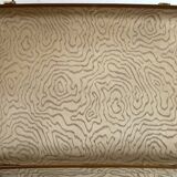 Antique suitcase and its key