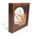 Cadre vitrine papillon