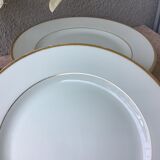 Nitto Hawthorne Japan plates - prestige tableware
