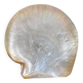 Mother-of-pearl shell emptier
