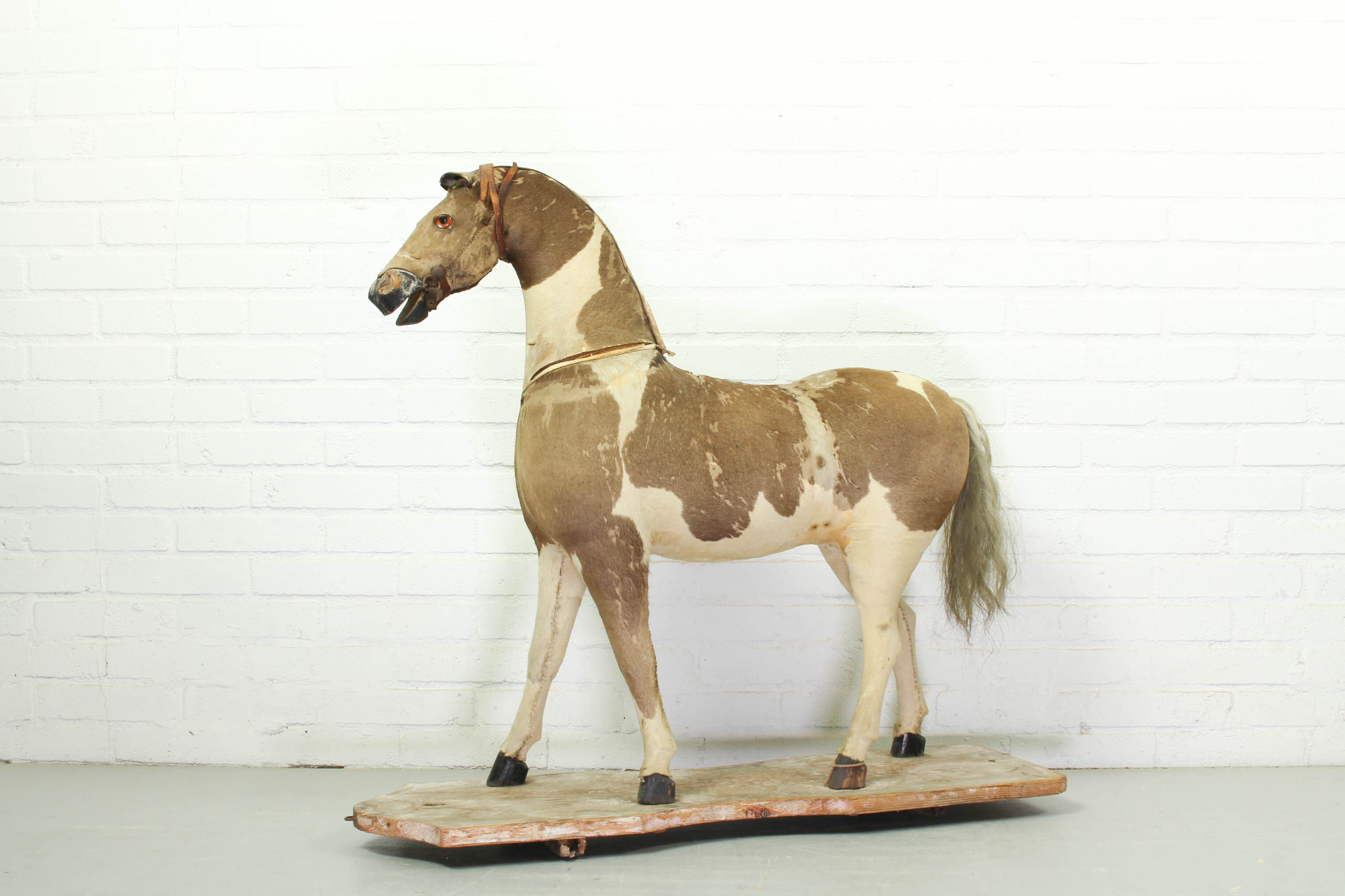 Victorian taxidermy toy horse, late 19th century.