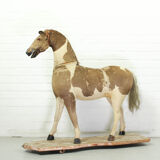 Victorian taxidermy toy horse, late 19th century.