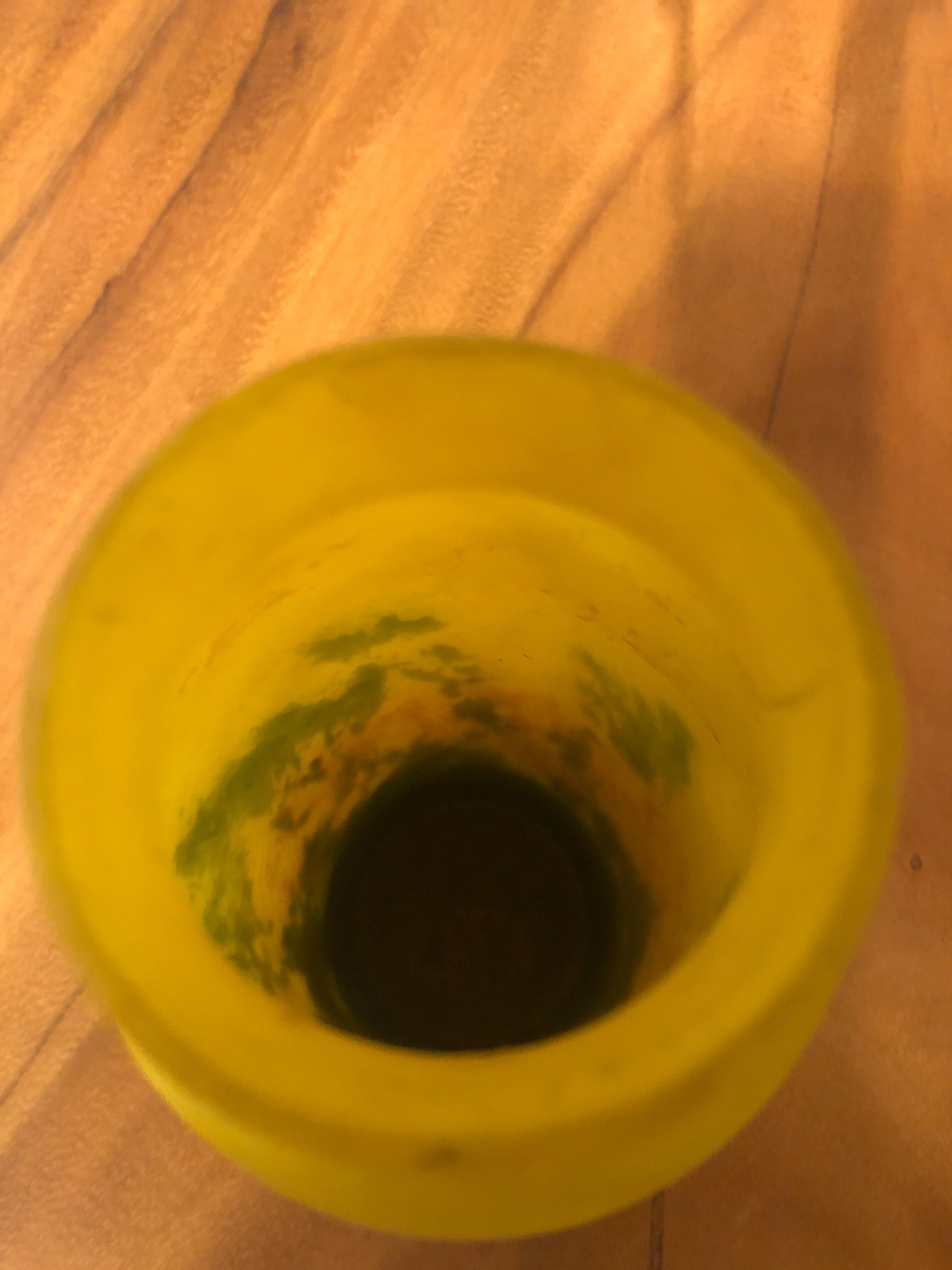 Vintage glass paste vase