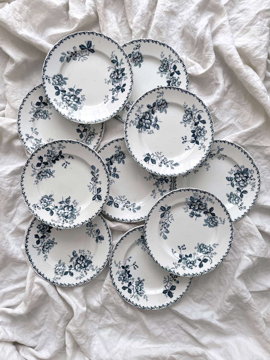 10 assiettes plates en terre de fer « Acacia » Moulin des Loups et Hamage