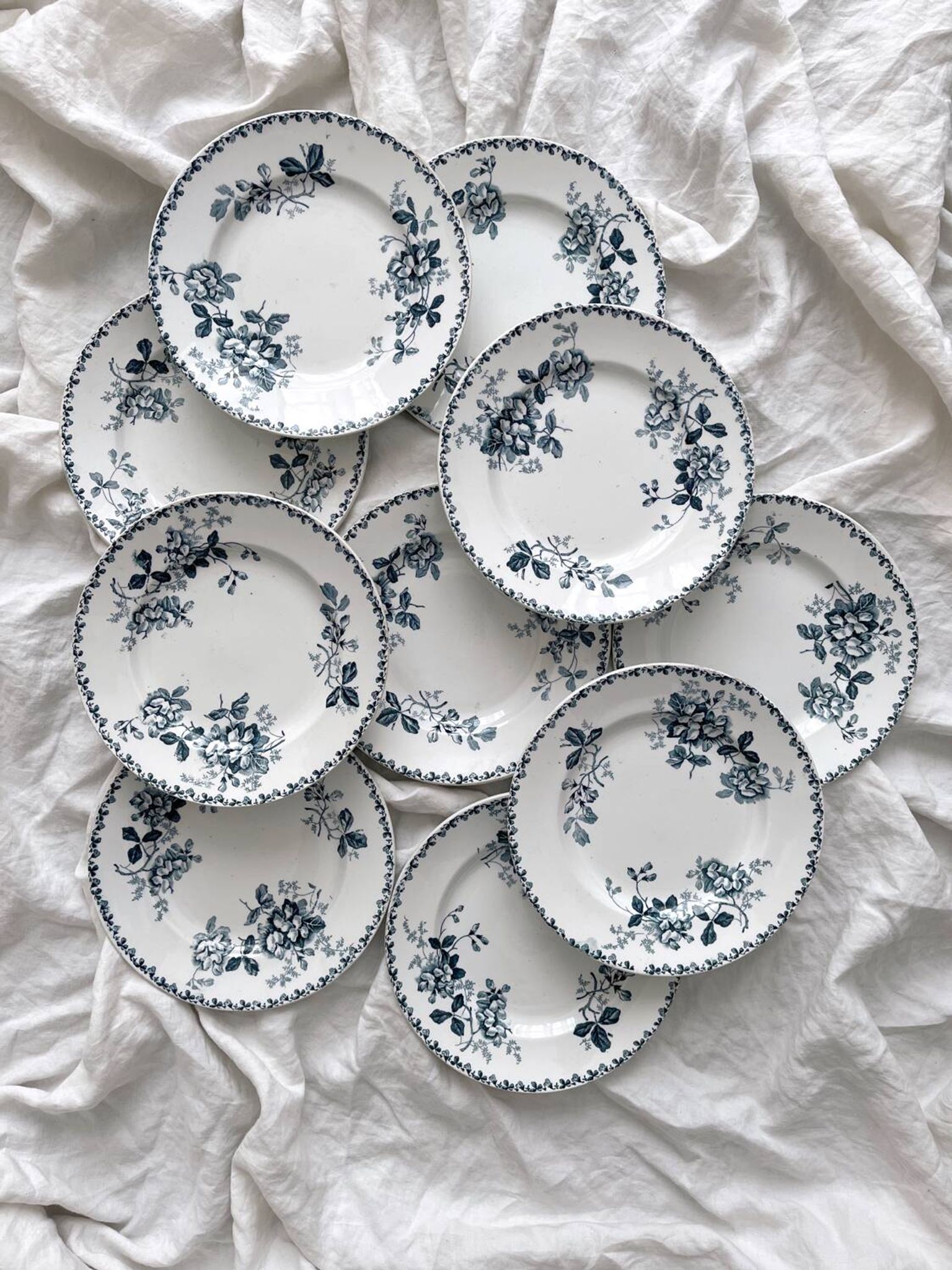 10 flat plates in iron earth “Acacia” Moulin des Loups and Hamage
