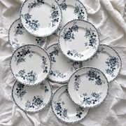 10 flat plates in iron earth “Acacia” Moulin des Loups and Hamage
