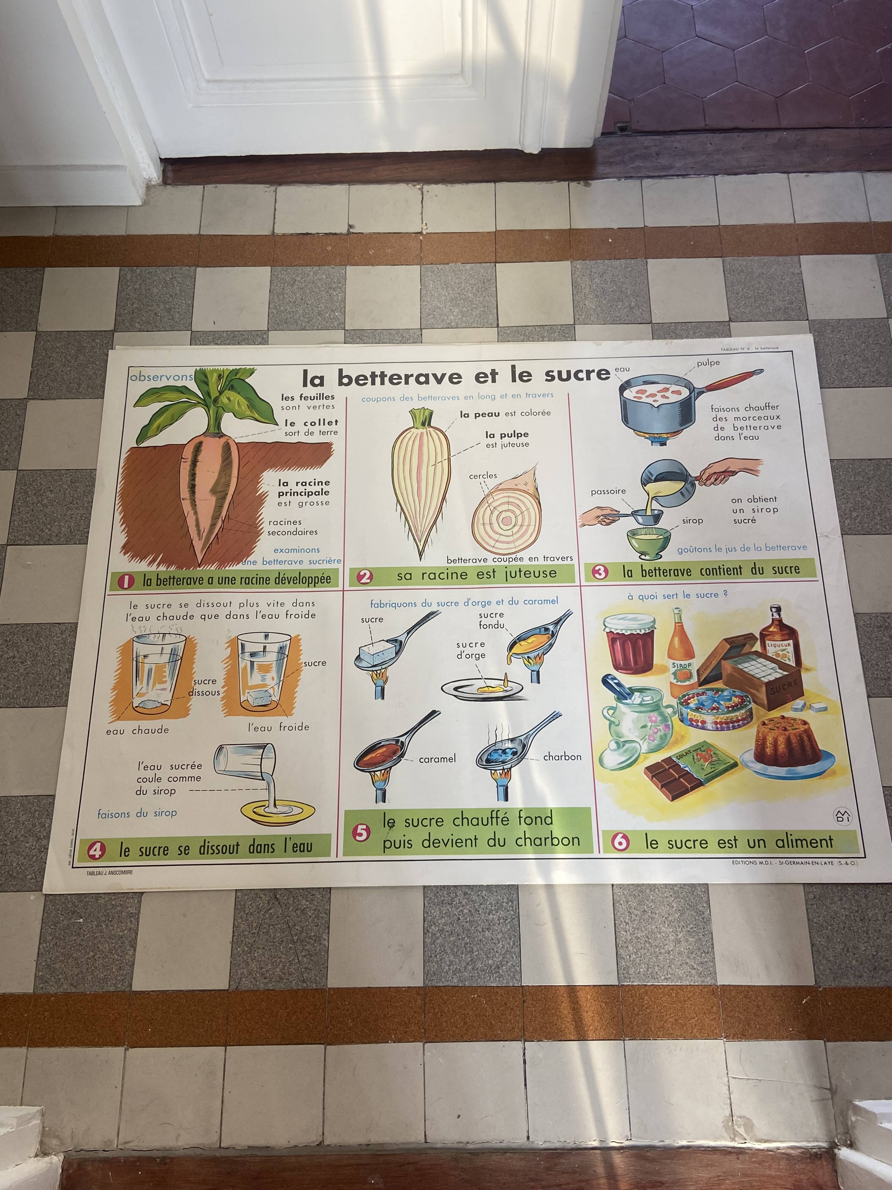 Vintage educational poster