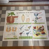 Vintage educational poster