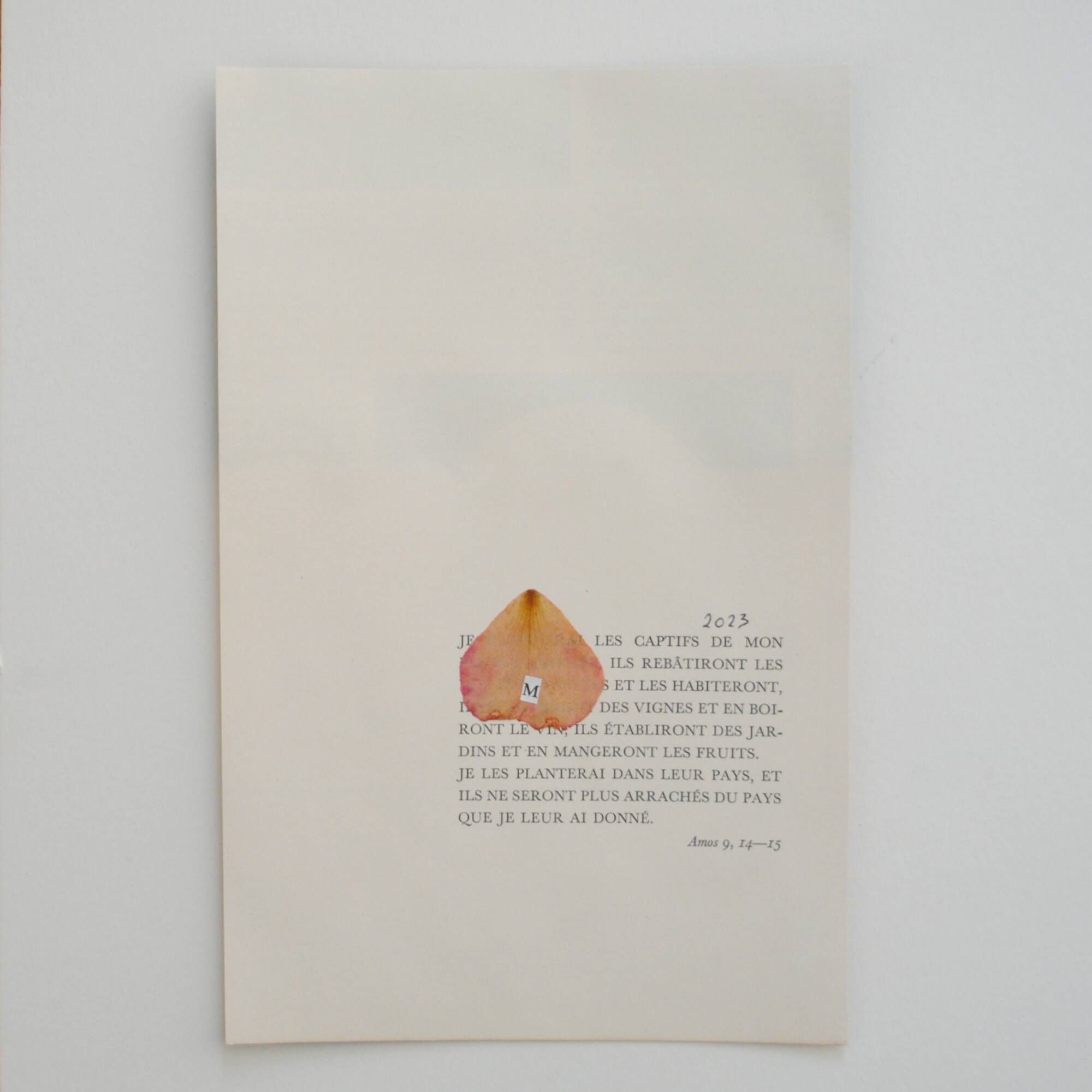 Collage on paper • MINERALOGY II