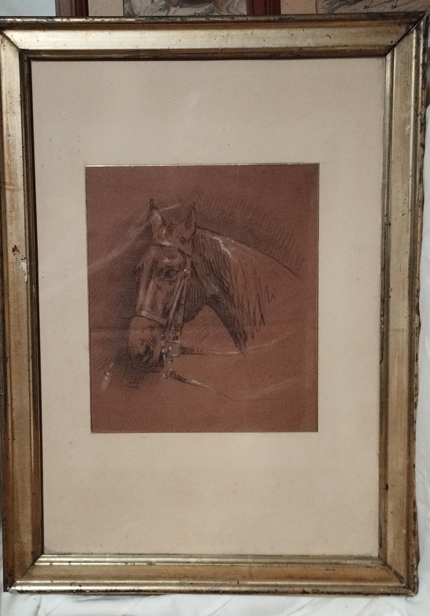 Painting, sketch on the theme of the horse, Pencil on XX th paper.