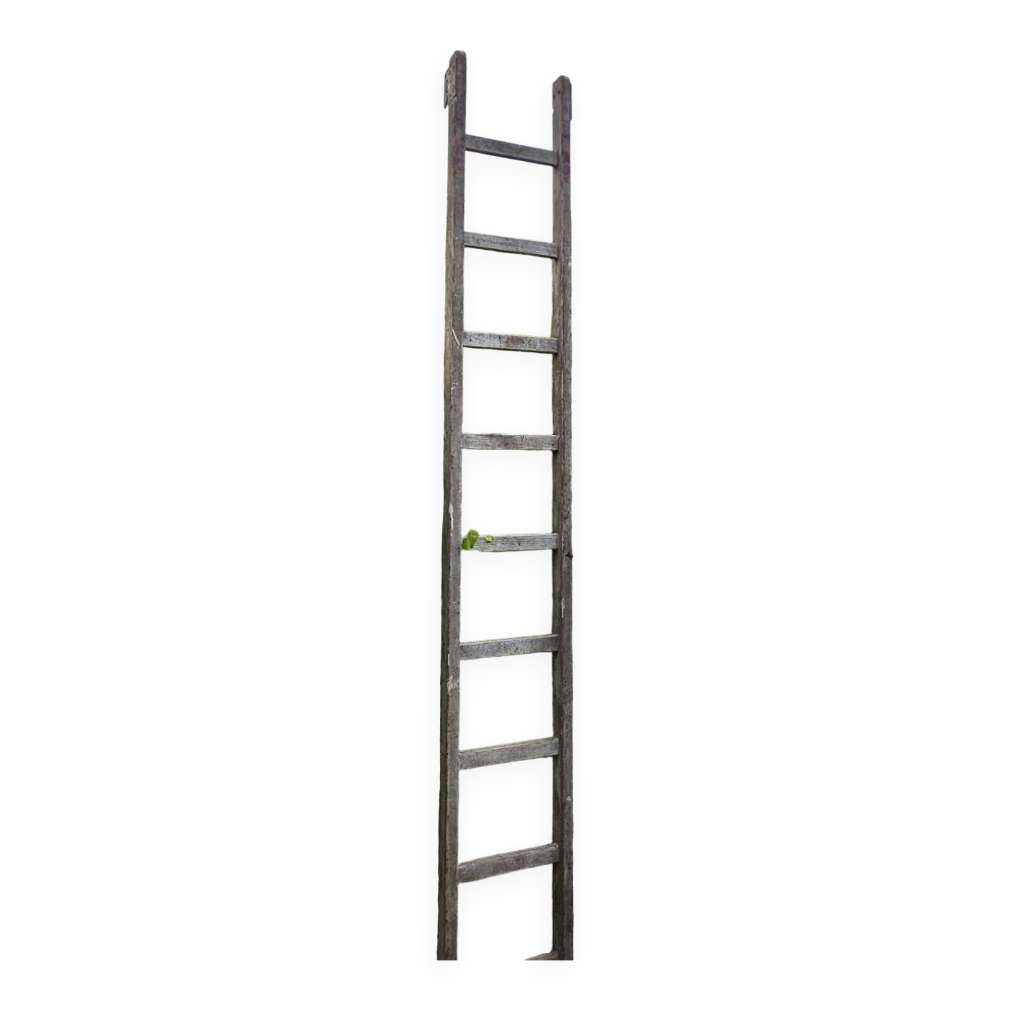 Wooden ladder