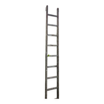 Wooden ladder