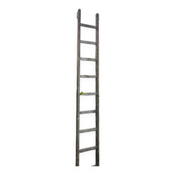 Wooden ladder