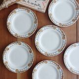 Set of 6 Ceranord dinner plates