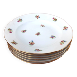 6 antique porcelain soup plates P.N France