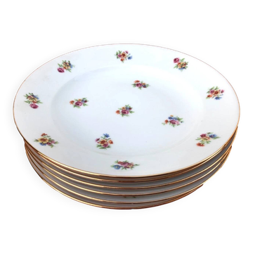 6 antique porcelain soup plates P.N France