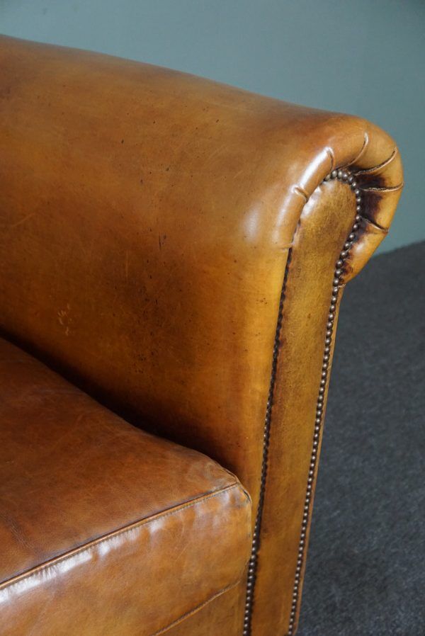 Beautifully colored 2.5-seater cowhide sofa