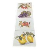 Fruit drawings