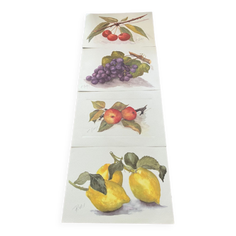 Fruit drawings