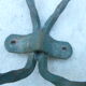 2 wall coat rack in wrought iron with 4 hooks