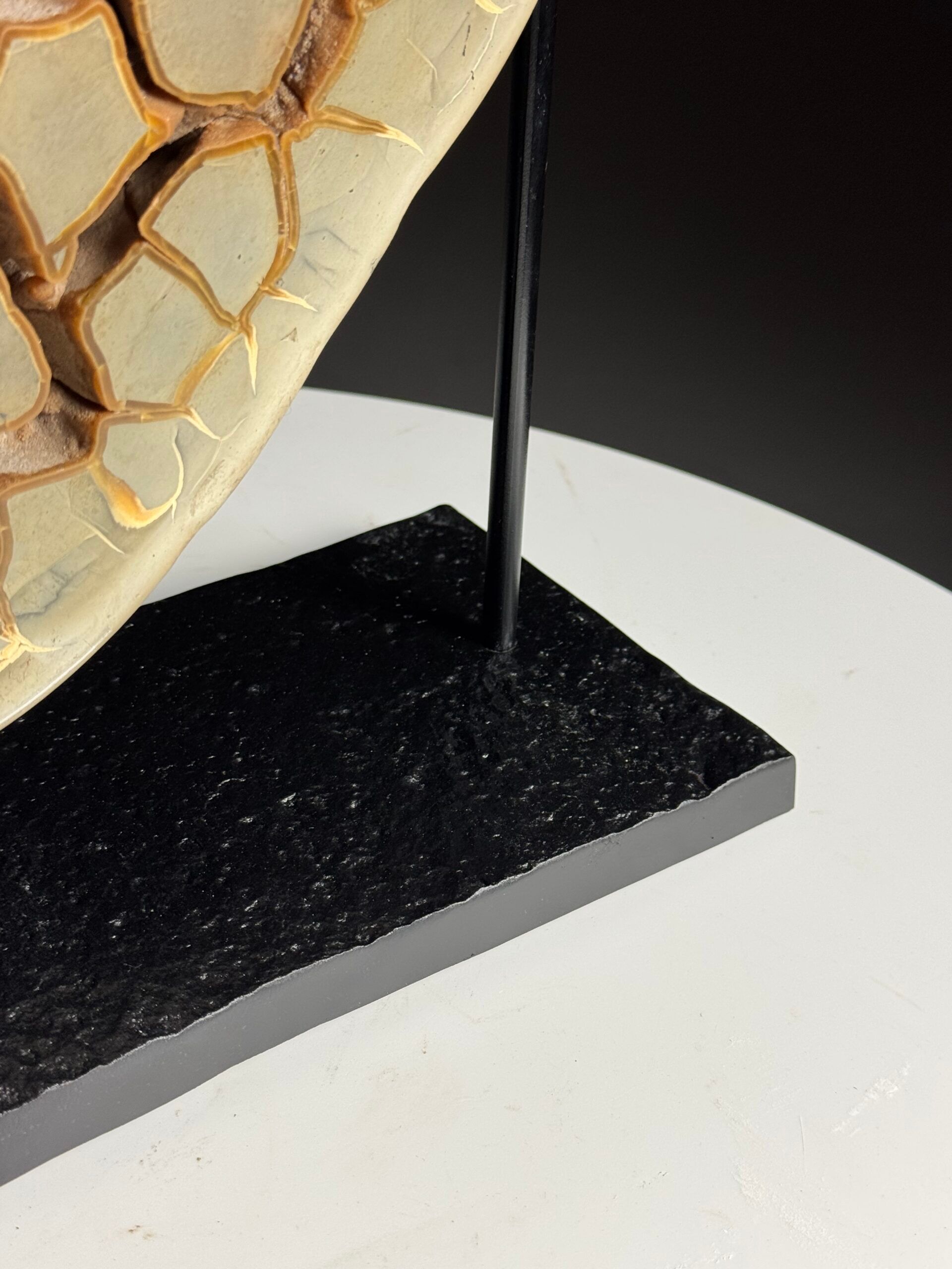 Septaria nodule on custom stand